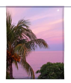 Bali-Palmenpracht, Scheibenhänger, eckig